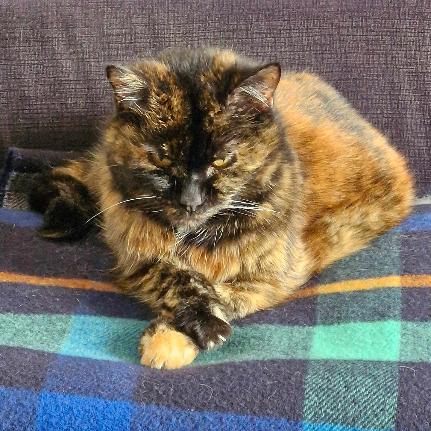 Luna