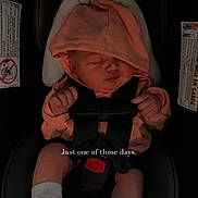 Bristol joined the competition — help win amazing prizes! baby, infant, car_seat, hoodie, sleeping, white_socks, child, seatbelt, evenflo, indoors, cute, peaceful, newborn, resting, small_hands, tiny_feet, text_overlay, black_background, soft_lighting, casual_clothing