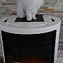 Taïga a rejoint le concours — aidez-le/la à gagner de superbes lots ! animal, cat, cozy, domestic, feline, fire, fireplace, fluffy_cat, green_eyes, home_interior, household, indoor, modern, perched, pet, sitting, stone_wall, stove, warm, white_cat