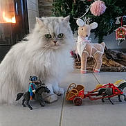 Taïga participe au concours pour gagner de l'argent avec cette photo : animal, calm, cat, christmas_tree, cozy, decorative_beads, festive, fireplace, floor_tiles, fluffy, green_eyes, holiday_decorations, indoor, ornaments, pet, plush_reindeer, ribbon, toy_chariot, toy_horse, white_cat
