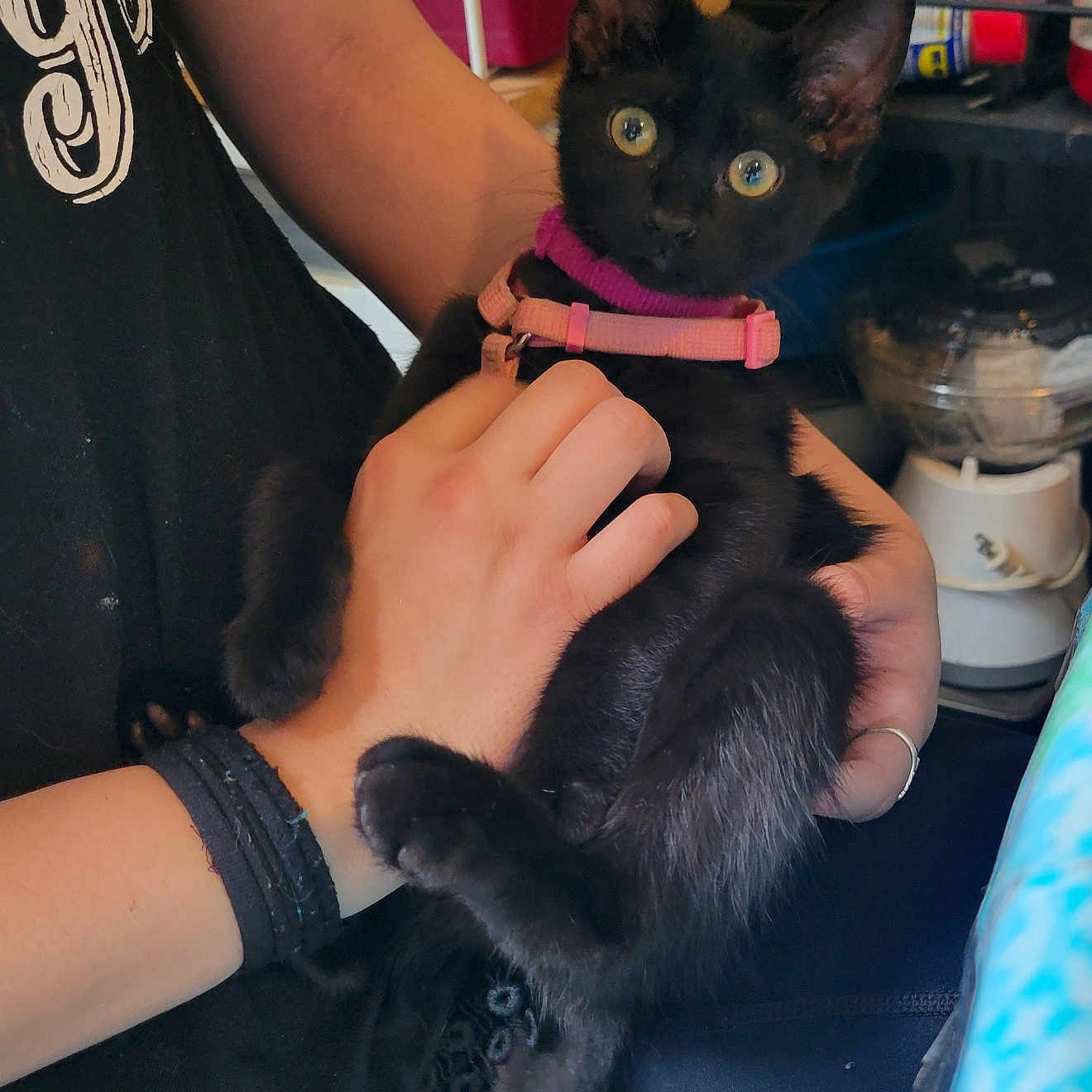 Freya