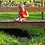 Logan is registered to the contest to win money with this photo: barefoot, boy, casual, child, concentration, daytime, grass, greenery, nature, orange_clothing, outdoor, portrait, sitting, smartphone, stone_wall, summer, sunlight, technology, wooden_bench, young