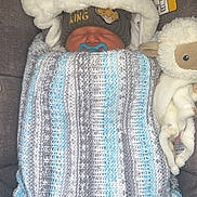 Joseph is registered to the contest to win money with this photo: newborn, baby, blanket, knitted, pacifier, hat, king, lion, car_seat, plush_toy, lamb, sleeping, cozy, child, infant, soft_toy, cute, wrapped, indoors, resting