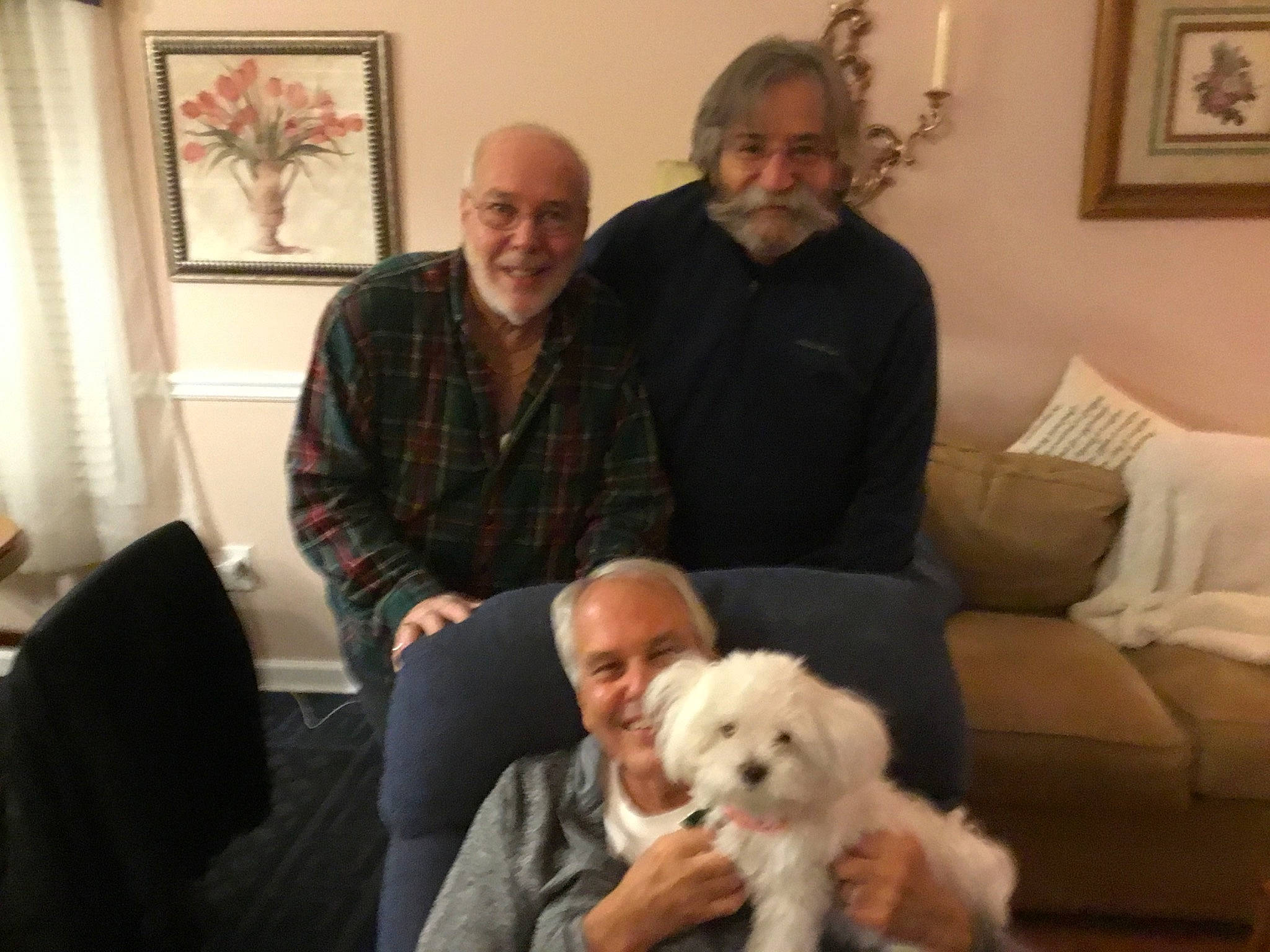 Molly joined the competition — help win amazing prizes! beard, carnivore, comfort, companion_dog, couch, curtain, dog, dog_breed, event, fur, houseplant, lap, living_room, picture_frame, room, sitting, small_terrier, smile, terrier, toy_dog