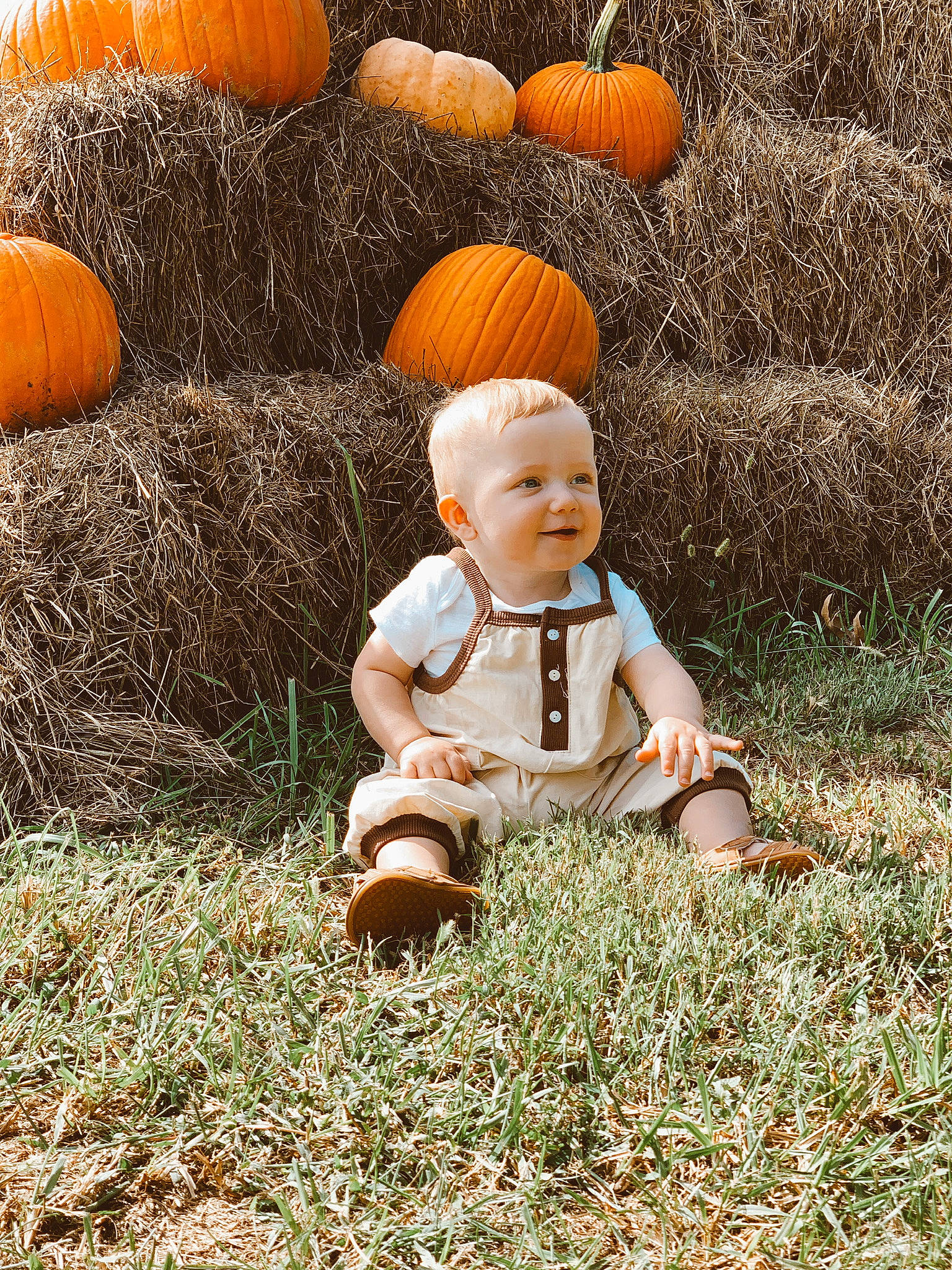 Sailor is registered to the contest to win money with this photo: agriculture, calabaza, cucurbita, field, gourd, grass, happy, lawn_ornament, local_food, natural_foods, orange, people_in_nature, person, plant, pumpkin, smile, squash, toy, vegetable, whole_food