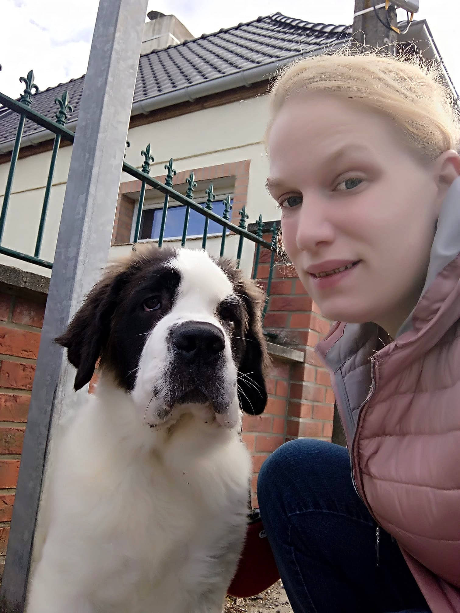 Zenna participe au concours pour gagner de l'argent avec cette photo : american_bulldog, canidae, carnivore, companion_dog, dog, dog_breed, fur, giant_dog_breed, guard_dog, mammal, moscow_watchdog, mucuchies, nose, person, pyrenean_mastiff, rare_breed_dog, snout, sporting_group, st_bernard, vertebrate