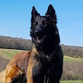 Sébastien D.