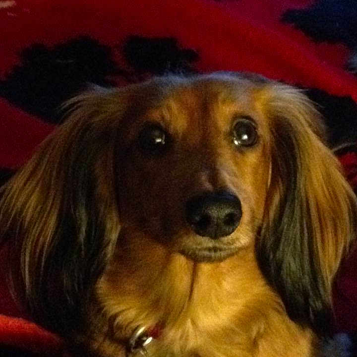 Cocoa