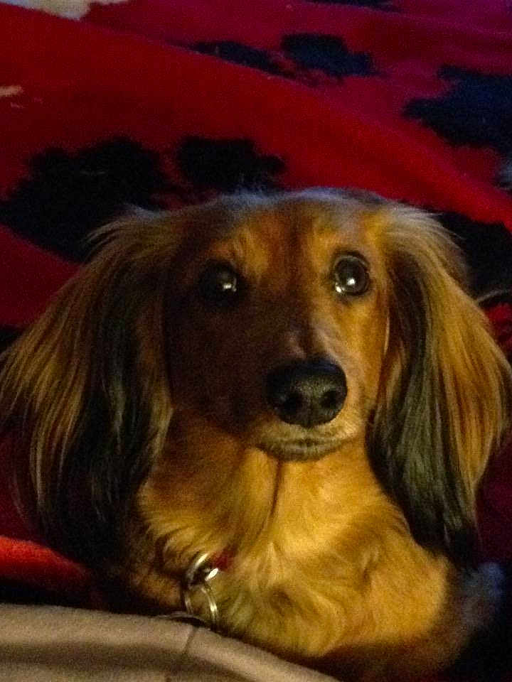 Cocoa