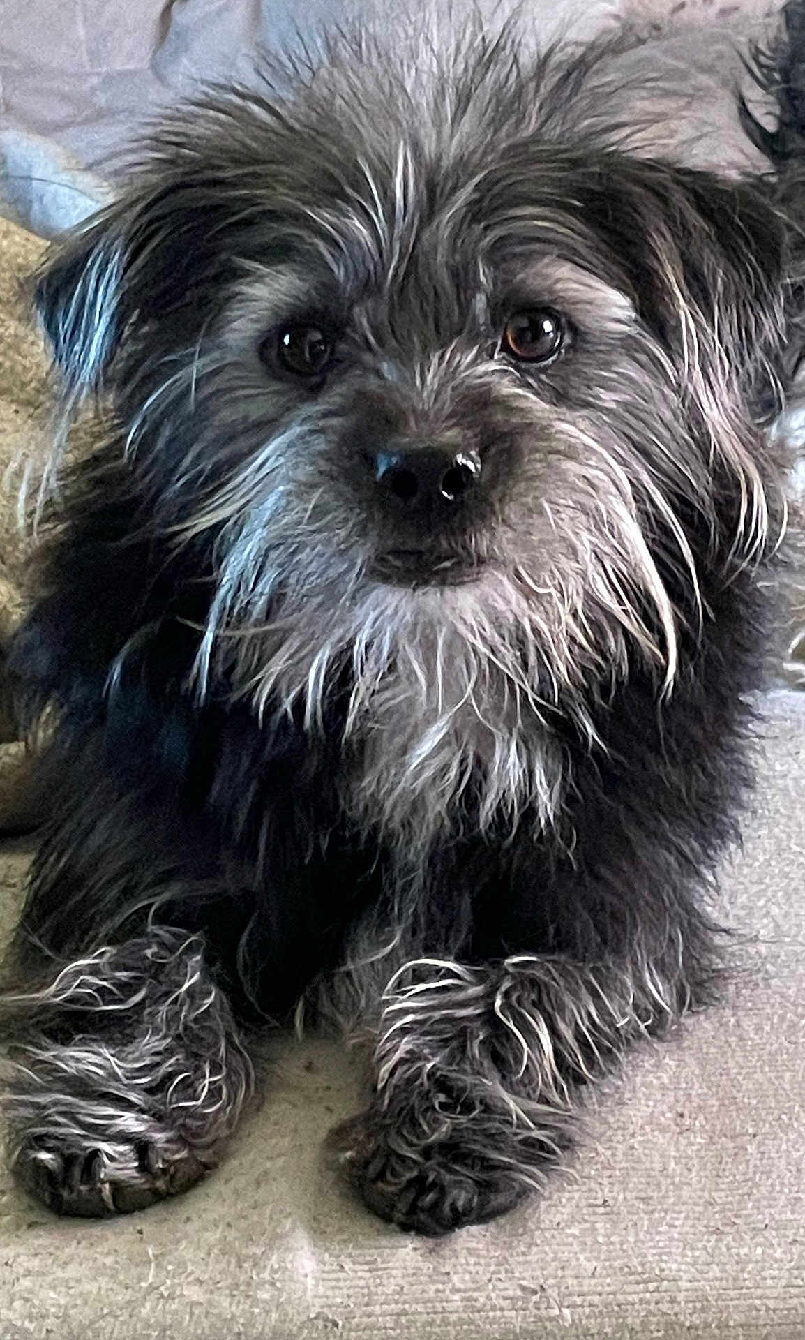 Duke