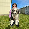 animal, black_white, blue_sky, brown, building, collie, dog, fence, fluffy, fur, grass, human, lawn, outdoor, person, pet, portrait, puppy, smiling, sunny
