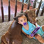 Reneah joined the competition — help win amazing prizes! toddler, child, dog, brown_dog, pacifier, purple_pacifier, tablet, carpet, wood_floor, home_interior, railing, curly_hair, blue_clothing, toy, pet, friendship, indoor, relaxing, cute, snuggling