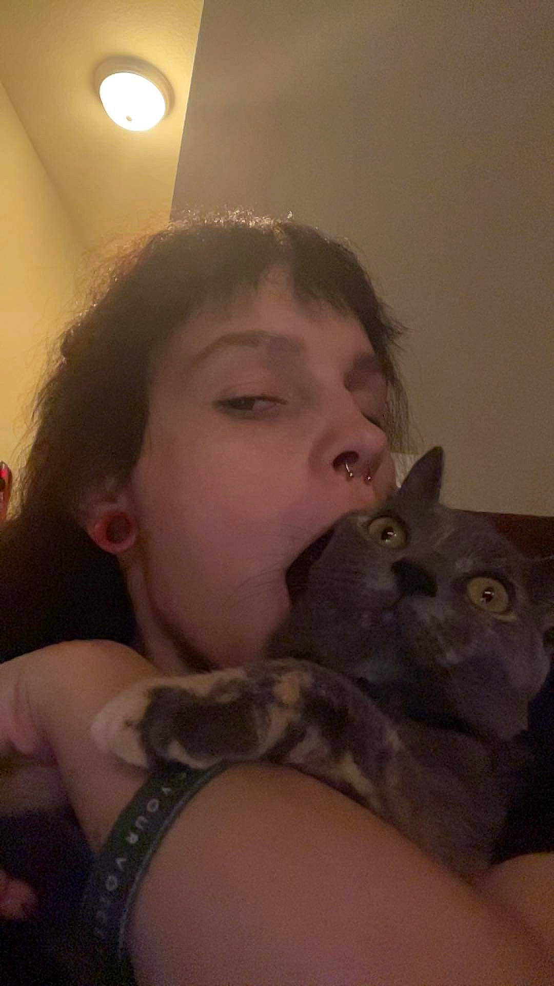 Indica joined the competition — help win amazing prizes! beard, black_hair, comfort, ear, eyebrow, eyelash, felidae, fur, gesture, happy, iris, jaw, lip, long_hair, mouth, neck, skin, small_to_medium_sized_cats, trunk, whiskers