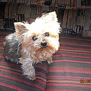 Melody a rejoint le concours — aidez-le/la à gagner de superbes lots !