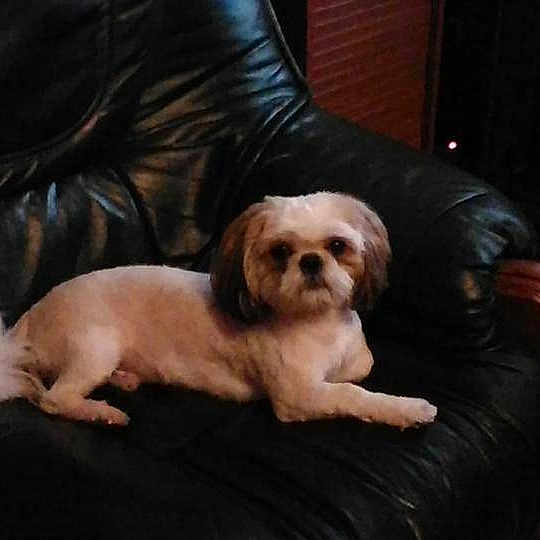 Filou participe au concours pour gagner de l'argent avec cette photo :