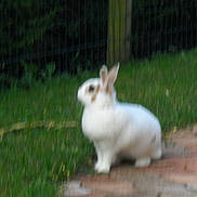 Tommy participe au concours pour gagner de l'argent avec cette photo :