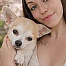 woman, puppy, dog, chihuahua, pet, portrait, close_up, outdoor, cuddling, holding, face, eyes, smiling, freckles, brown_hair, tattoo, necklace, cream_clothing, soft_lighting, blurred_background