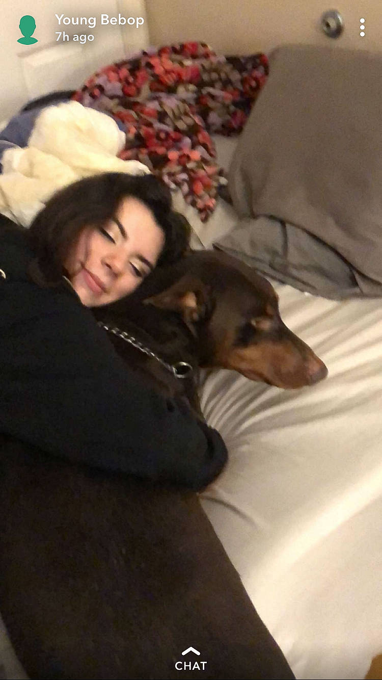 Happy is registered to the contest to win money with this photo: canidae, carnivore, companion_dog, dachshund, dog, dog_breed, ear, guard_dog, miniature_pinscher