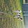 Haya