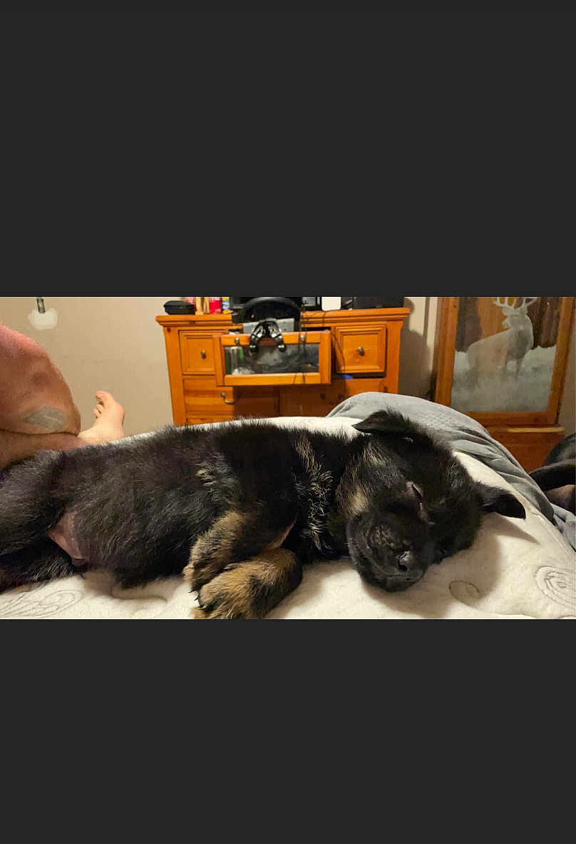 Samson