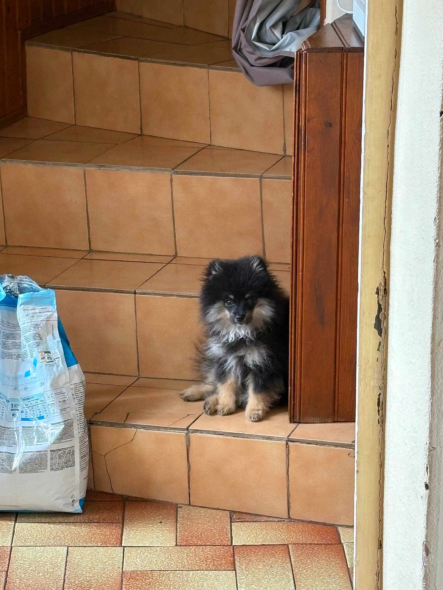 Pilou