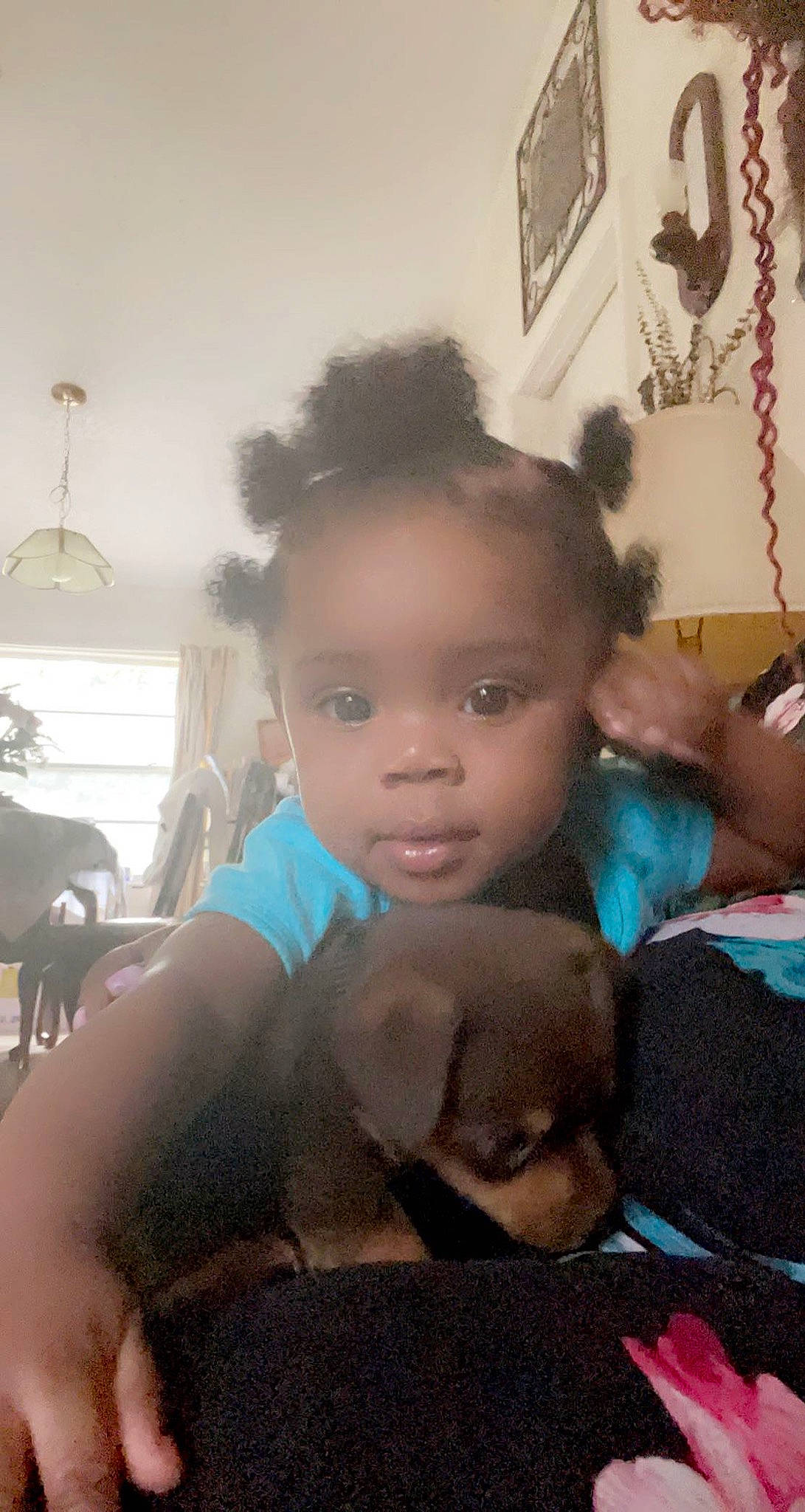 Jamia joined the competition — help win amazing prizes! chair, child, companion_dog, doll, ear, fawn, fun, fur, happy, iris, living_room, mouth, person, picture_frame, room, sitting, skin, smile, toddler, toy