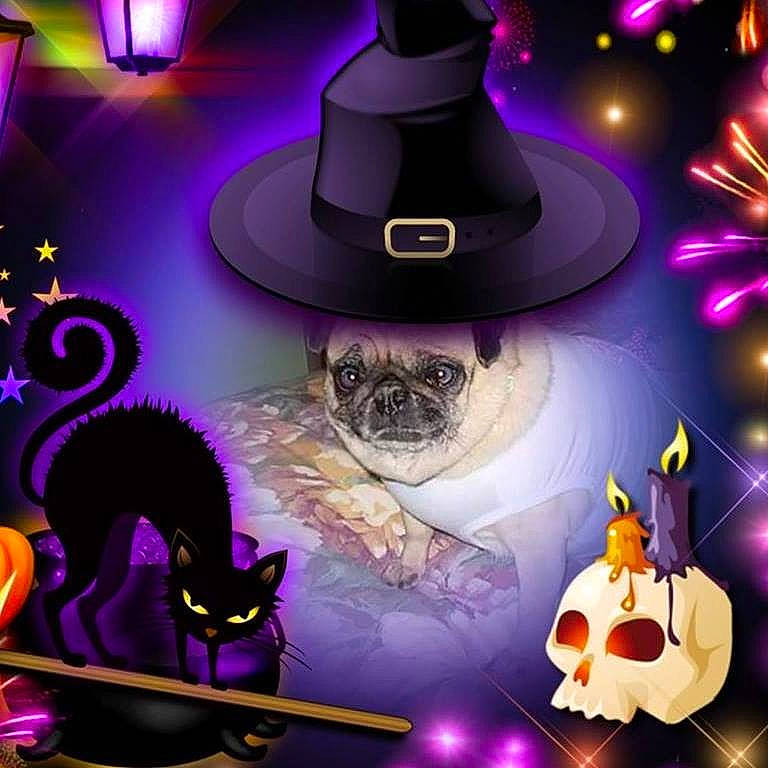 Princess joined the competition — help win amazing prizes! animated_cartoon, animation, art, costume_hat, entertainment, event, fashion_accessory, fedora, fiction, fictional_character, font, graphic_design, graphics, hat, illustration, magenta, purple, sun_hat, violet, whiskers