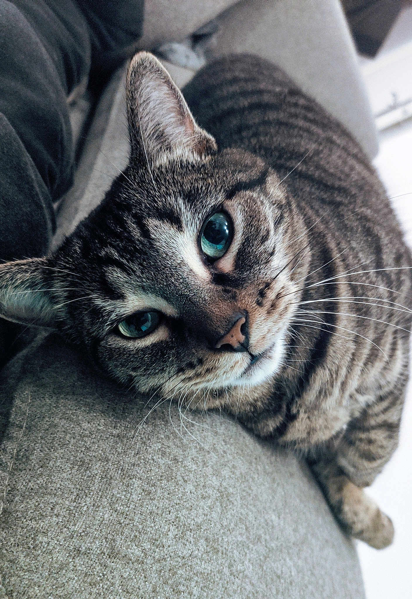 Diva