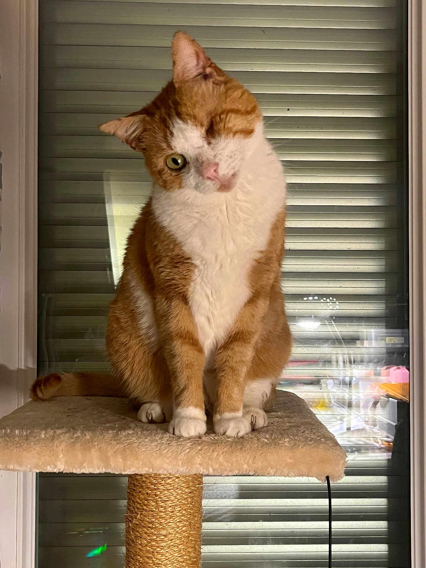 Caramel
