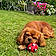 Athos