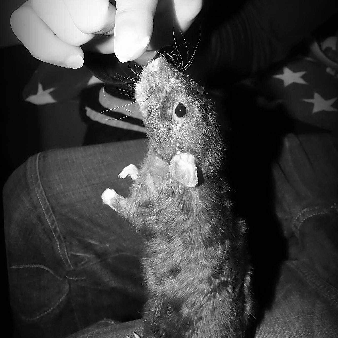 Ralph