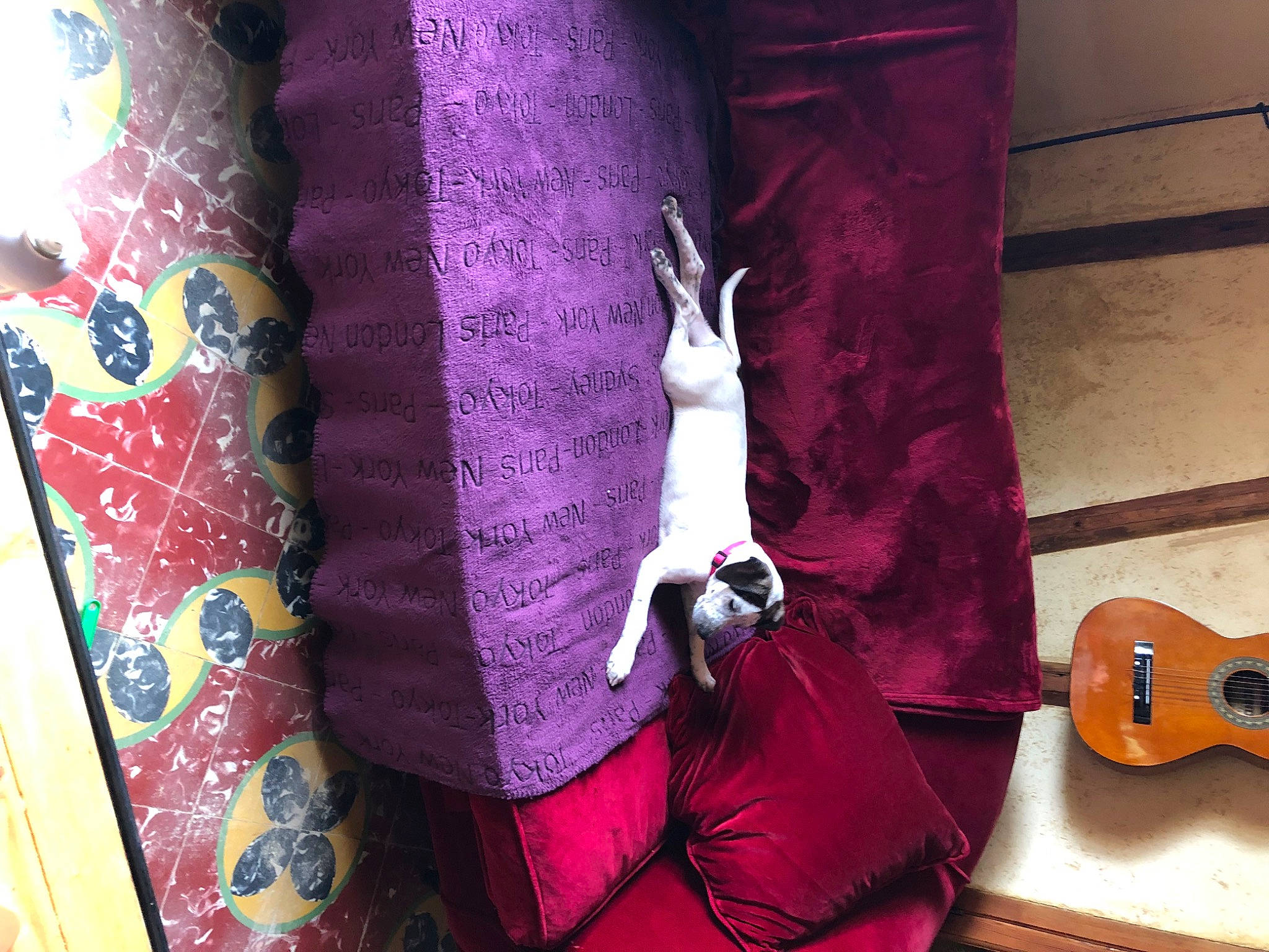 Toupy participe au concours pour gagner de l'argent avec cette photo : acoustic_electric_guitar, carmine, comfort, curtain, guitar, guitar_accessory, linens, magenta, musical_instrument, pattern, pink, plucked_string_instruments, purple, room, sleeve, string_instrument, string_instrument_accessory, violet, wood