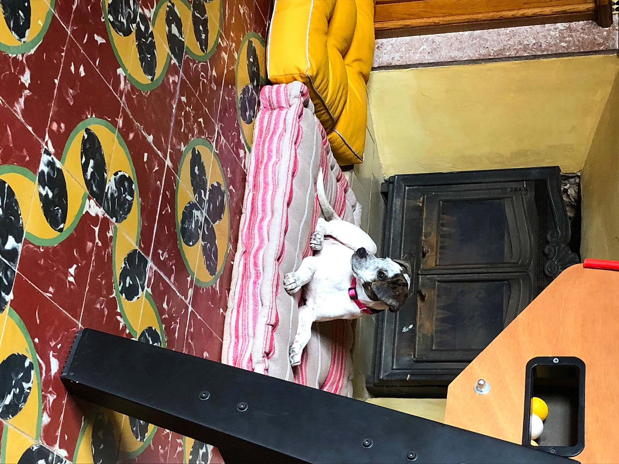 Toupy a rejoint le concours — aidez-le/la à gagner de superbes lots ! art, carmine, design, door, entertainment, event, facade, fun, leisure, magenta, pattern, pink, recreation, red, room, snapshot, tradition, tree, visual_arts, wood