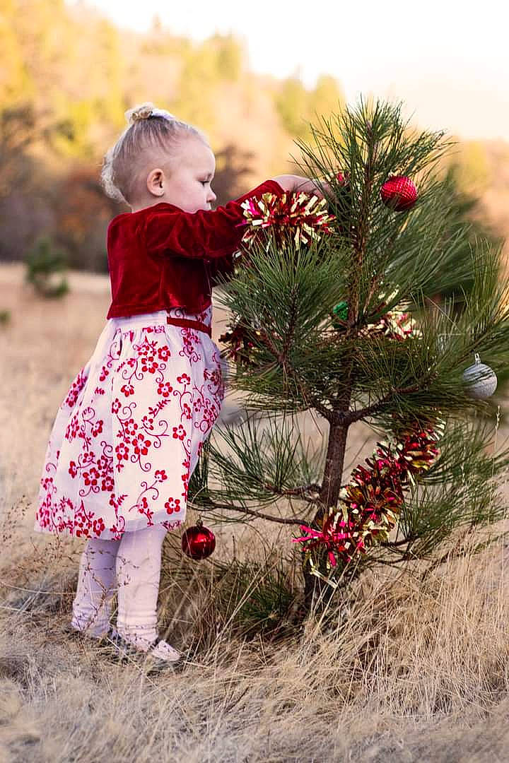 Helena joined the competition — help win amazing prizes! baby, baby_toddler_clothing, botany, branch, child, christmas_decoration, christmas_ornament, conifer, event, evergreen, fun, grass, grass_family, happy, leaf, people_in_nature, person, plant, shortstraw_pine, toddler
