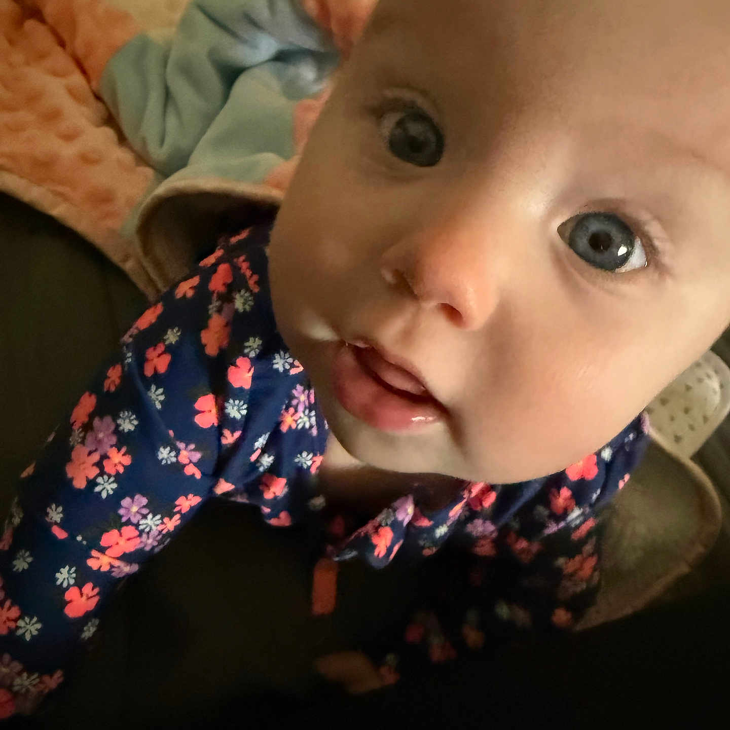 Nova joined the competition — help win amazing prizes! accessories, baby, bodypart, clothing, couch, crawling, dress, face, formalwear, furniture, happy, head, mouth, newborn, person, photography, portrait, sitting, smile, tie