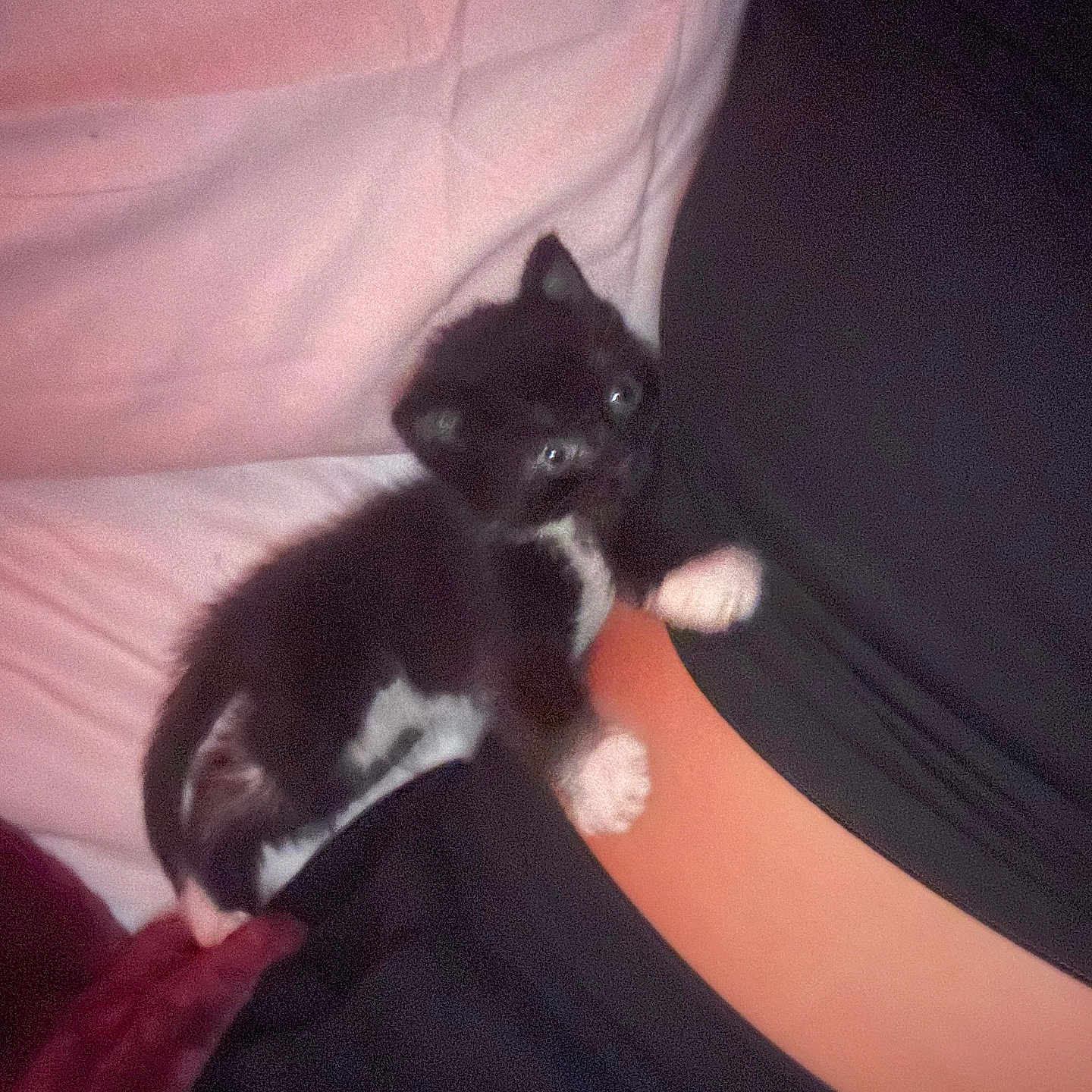 Onyx