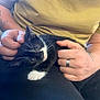 Milo is registered to the contest to win money with this photo: animal, black_and_white, casual_clothing, cat, close_up, comfort, cute, domestic, fur, hand, indoor, kitten, lap, nail, person, pet, relaxing, ring, tattoo, whiskers