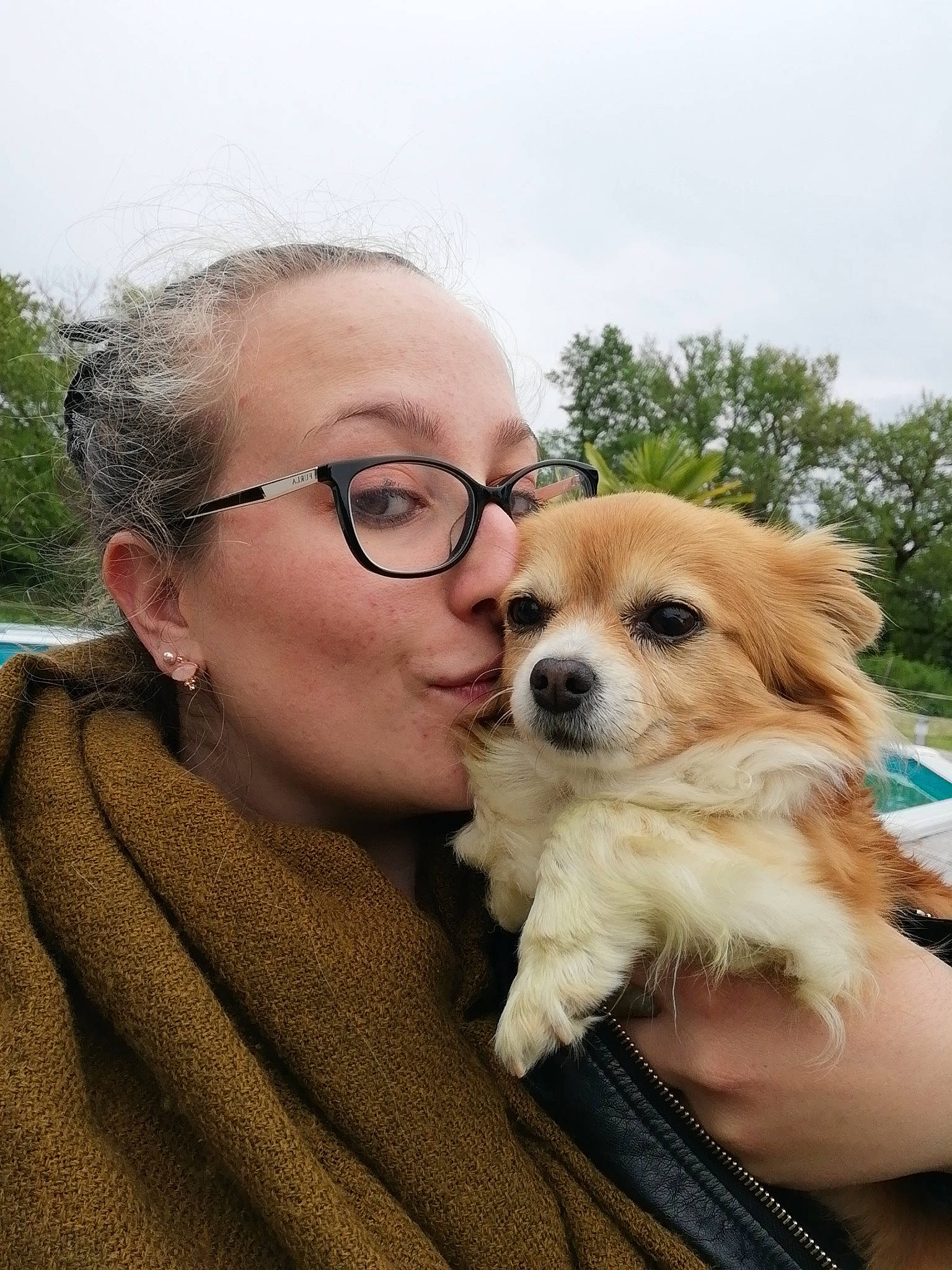 Geolia a rejoint le concours — aidez-le/la à gagner de superbes lots ! canidae, carnivore, companion_dog, dog, dog_breed, fawn, glasses, mammal, pomeranian, puppy, puppy_love, snout, sporting_group, tibetan_spaniel, vertebrate