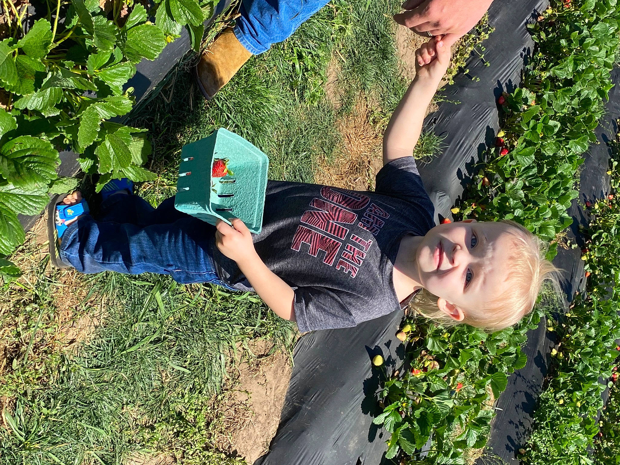 Colt is registered to the contest to win money with this photo: electric_blue, fun, garden, grass, grass_family, grassland, groundcover, happy, joint, lawn, leisure, people_in_nature, person, plant, shrub, sitting, t_shirt, thigh