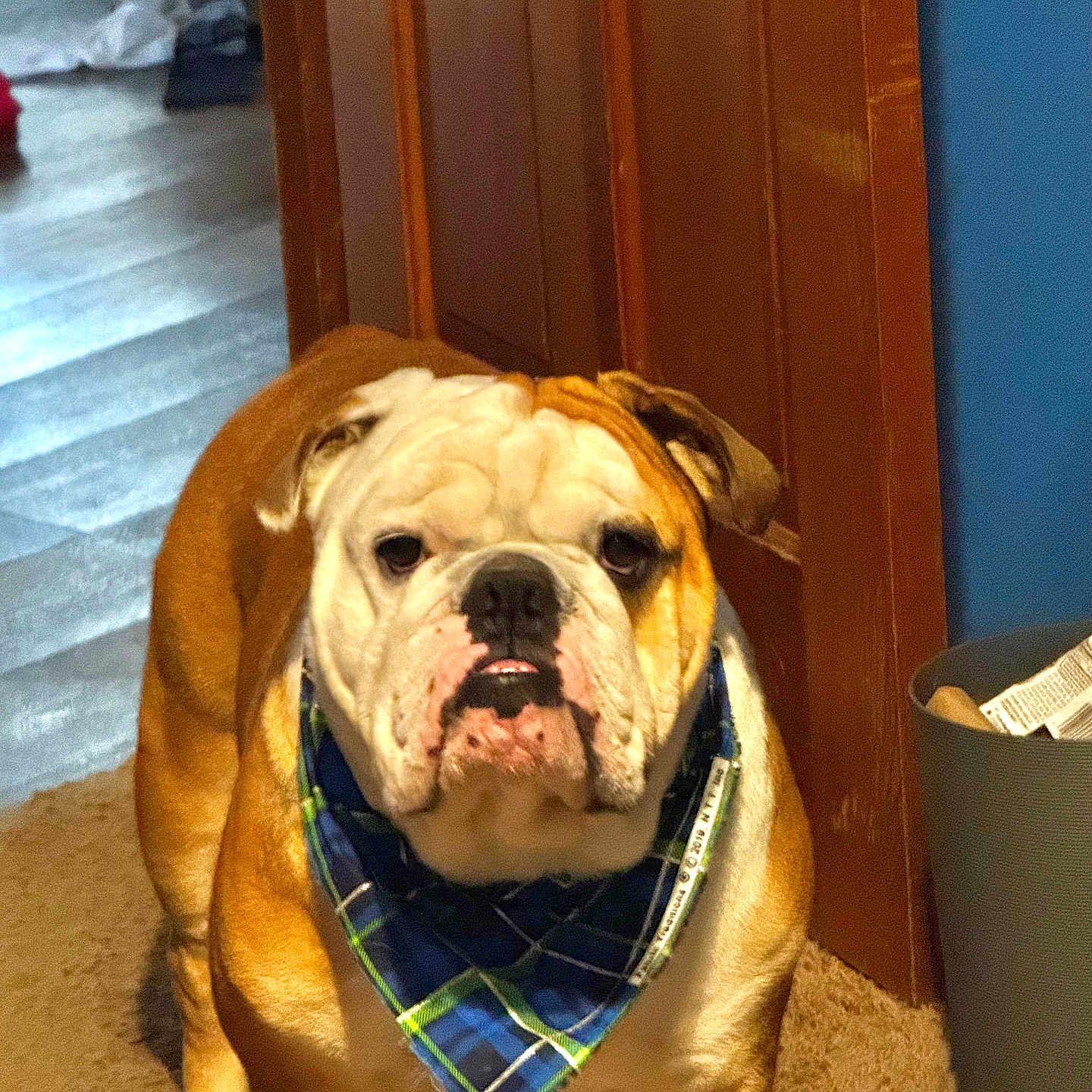 Max