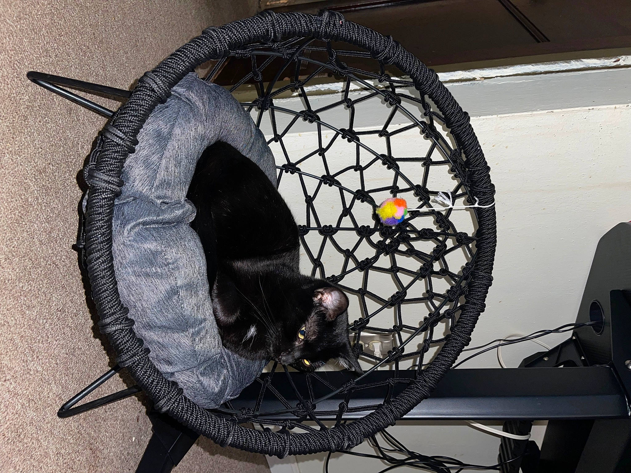 Ivy is registered to the contest to win money with this photo: audio_equipment, auto_part, automotive_exterior, automotive_lighting, automotive_tire, automotive_wheel_system, bicycle_part, bicycle_tire, circle, fashion_accessory, gas, headlamp, light_fixture, lighting_accessory, metal, net, rim, spoke, tread, wire