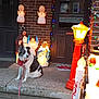 dog, porch, christmas_lights, nativity_scene, angel_figurines, lamp_post, bandana, leash, brick_wall, door, holiday_decorations, night, concrete, festive, glowing_lights, outdoor, pet, decoration, celebration, winter