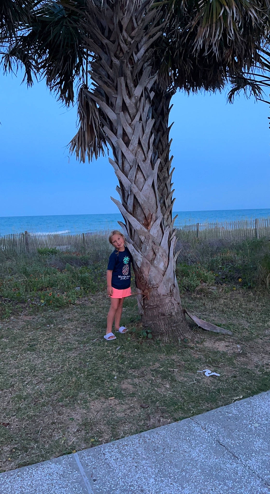Olivia is registered to the contest to win money with this photo: arecales, azure, beach, biome, botany, branch, coastal_and_oceanic_landforms, grass, landscape, leisure, person, plant, shore, sky, summer, terrestrial_plant, tree, trunk, vegetation, water