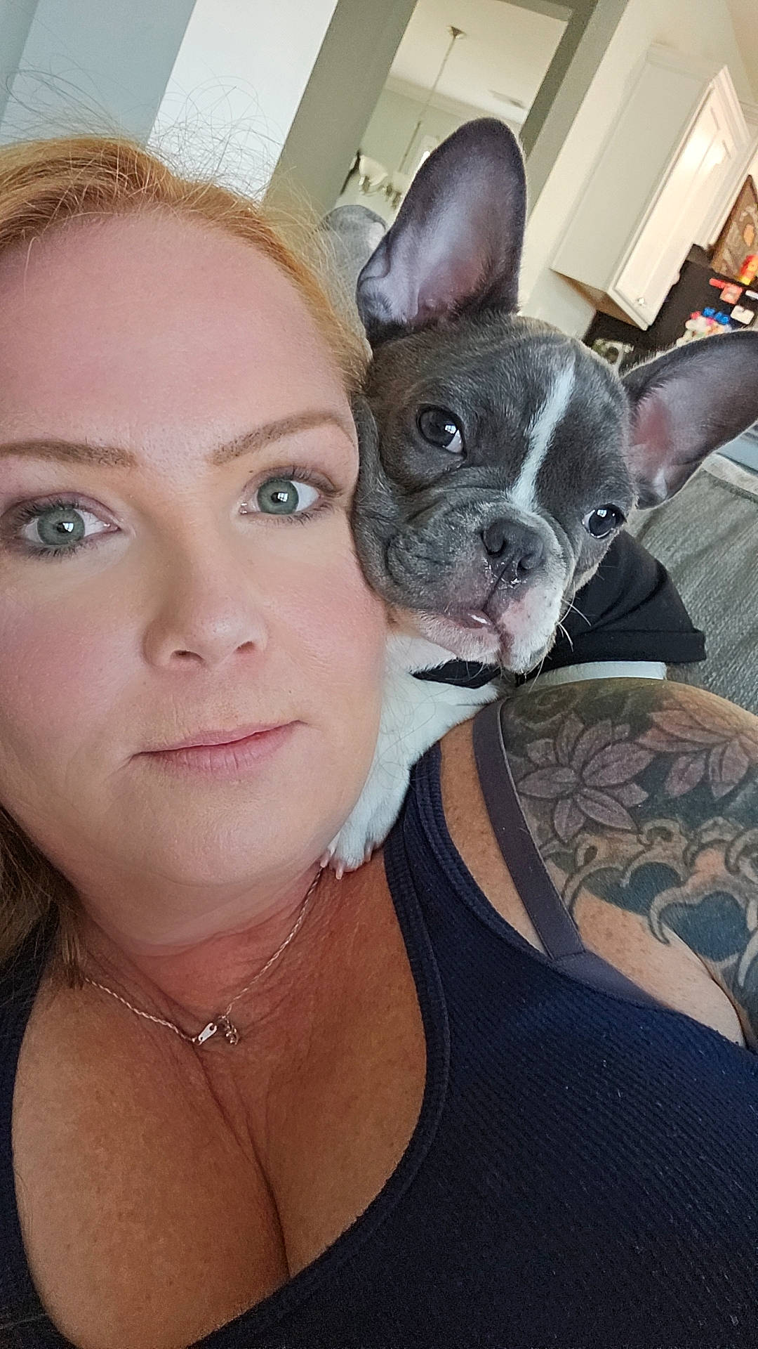 Franklin is registered to the contest to win money with this photo: canidae, carnivore, chest, comfort, companion_dog, dog, dog_breed, ear, eyelash, fawn, fur, jewellery, necklace, organ, skin, snout, sporting_group, throat, whiskers, working_animal