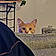 Neko