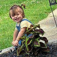 Mylie joined the competition — help win amazing prizes! toddler, child, smiling, outdoor, grass, plant, garden, greenery, leafy_plant, sidewalk, lantern, happy, cute, overalls, short_sleeve, nature, daylight, person, young_child, crouching