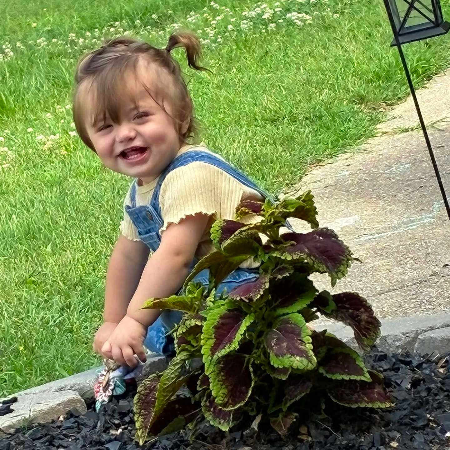 Mylie joined the competition — help win amazing prizes! toddler, child, smiling, outdoor, grass, plant, garden, greenery, leafy_plant, sidewalk, lantern, happy, cute, overalls, short_sleeve, nature, daylight, person, young_child, crouching