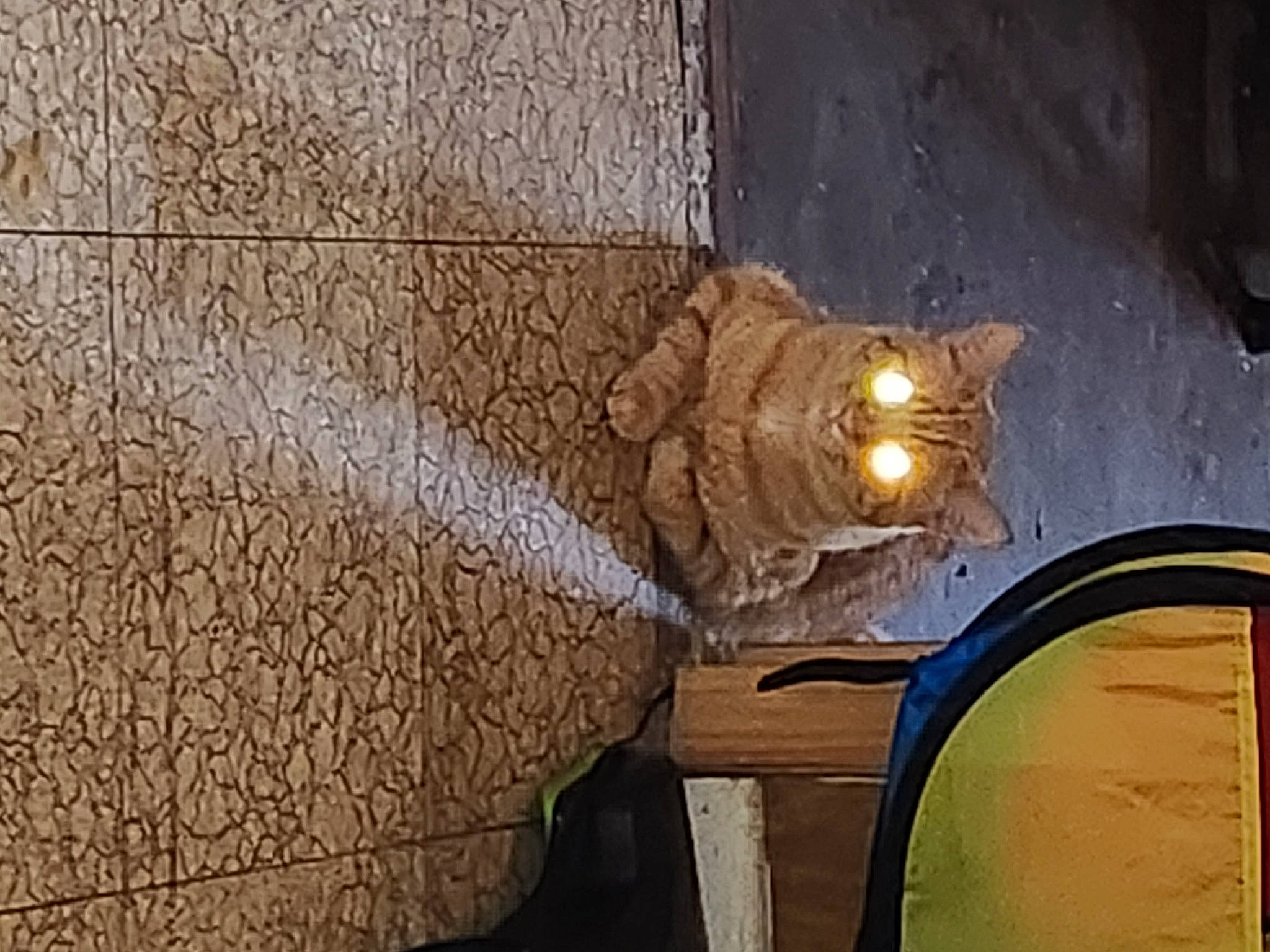 Thomas joined the competition — help win amazing prizes! ceiling, concrete, gas, holy_places, metal, molding, pipe, room, tints_and_shades, wood