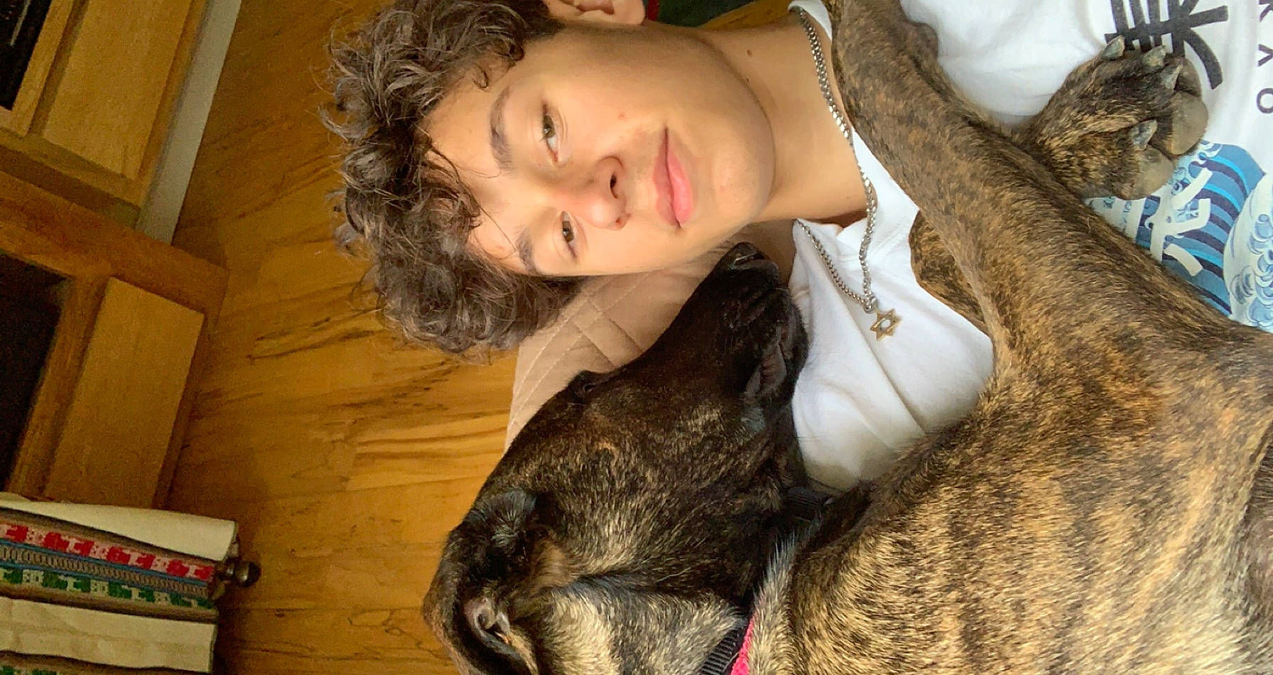 Shoco joined the competition — help win amazing prizes! beard, black_hair, comfort, ear, eyebrow, eyelash, face, fawn, felidae, flash_photography, gesture, hair, happy, jaw, lip, mammal, neck, nose, organ, skin