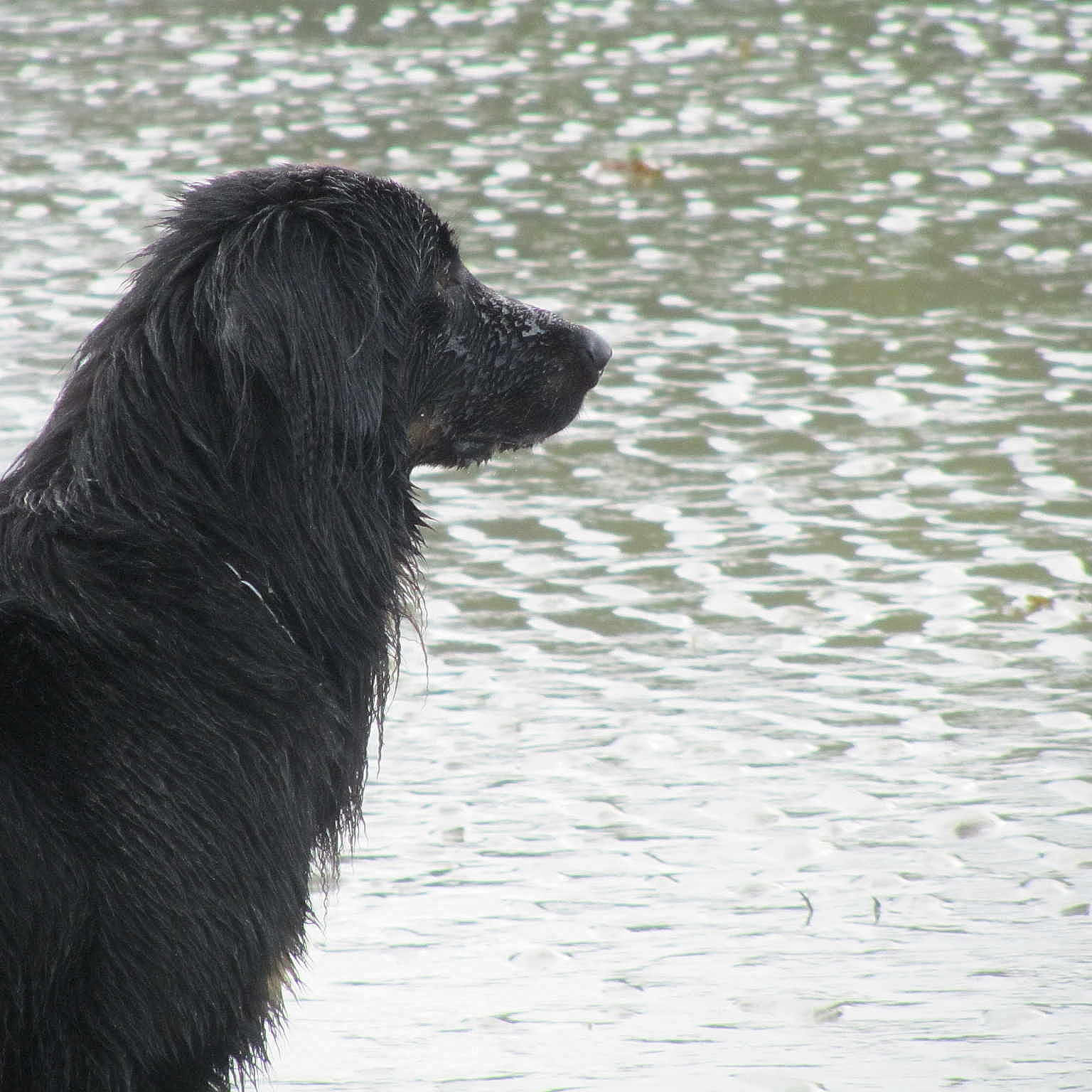 Elorn des îles du lagon bleu